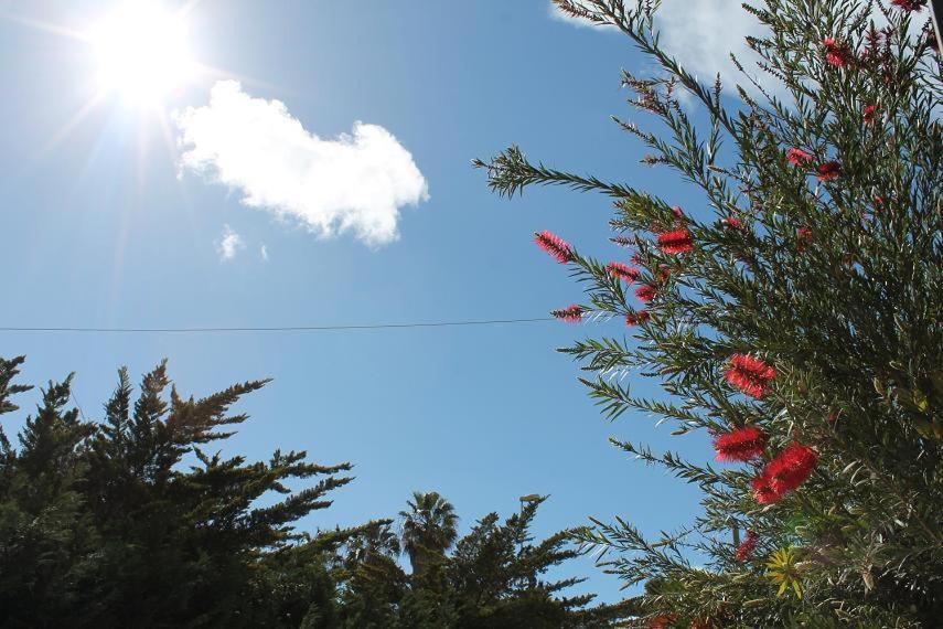 Villetta Le Mimose Di Maggio In Baia Verde Il Monte Exteriör bild